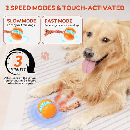 🐶The ODEIUN™ – Keep Your Pet Relaxed, Happy & Content for Cat🐱 & Dog🐶