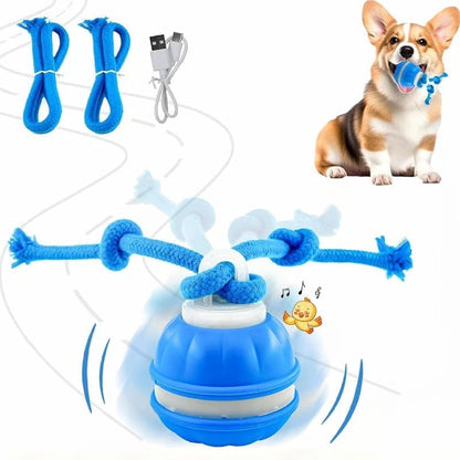 This Smart Interactive Ball Is Helping Dogs Everywhere Live Their Best Lives