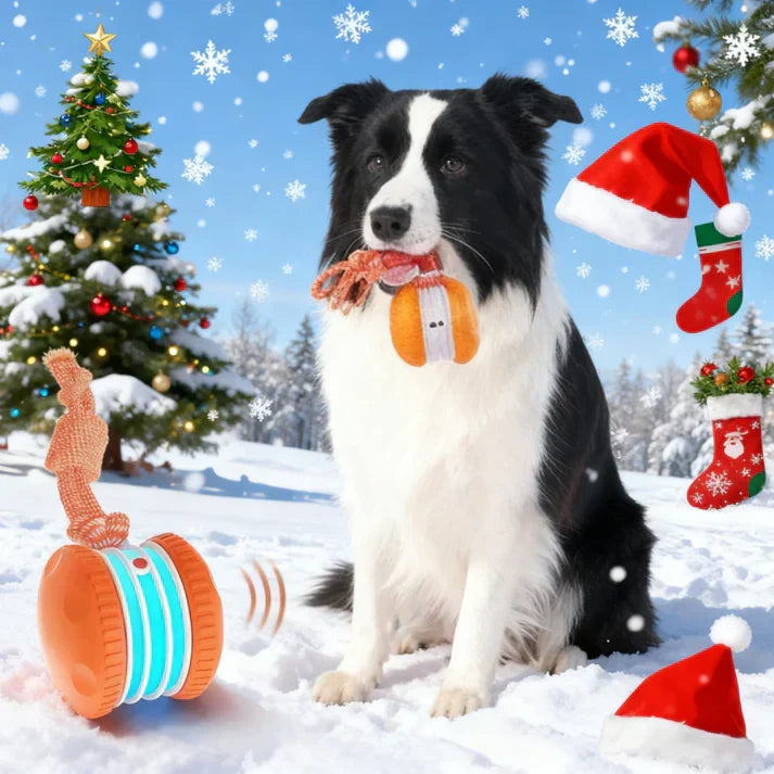 🐶The ODEIUN™ – Keep Your Pet Relaxed, Happy & Content for Cat🐱 & Dog🐶